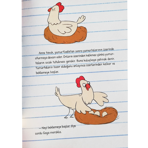 Ege ile Gaga Serisi 5 Kitap TRT Çocuk