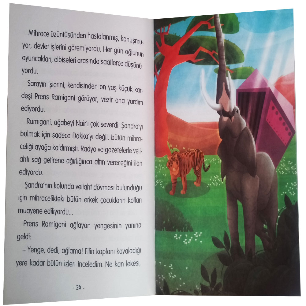 3 ve 4. Sınıf Gezi Dizisi Hikaye Serisi 10 Kitap Testli